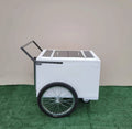 Standard Size Popsicle Cart with Bicycle Tires and Chrome Trim image 0