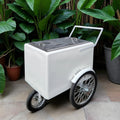 Tall Standard size Popsicle cart, Paleta Cart, Ice Cream Cart with XL reinforced flip door, bicycle tires, fenders all white image 0
