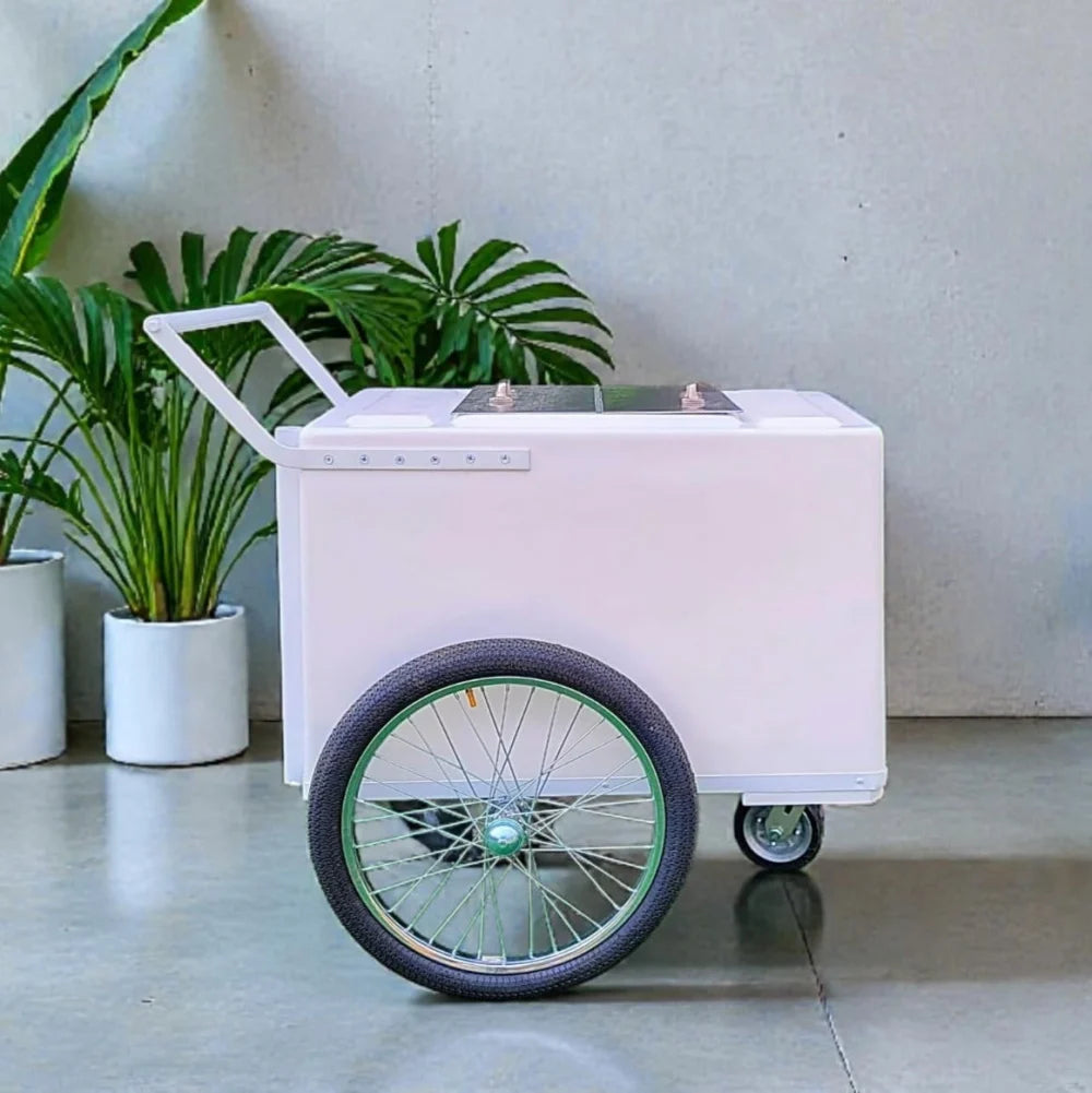 Standard Popsicle Cart with White Painted Trim – Compact & Versatile image 0