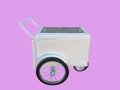 Standard Size Popsicle Cart with XL Door & Sleek White Trim image 0