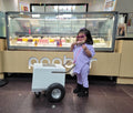 Baby Size Classic Popsicle Cart – Compact & Stylish Frozen Treat Cart image 0