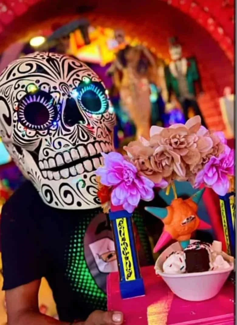 Calavera mask / helmet with Stunning LED Lights for show image 0