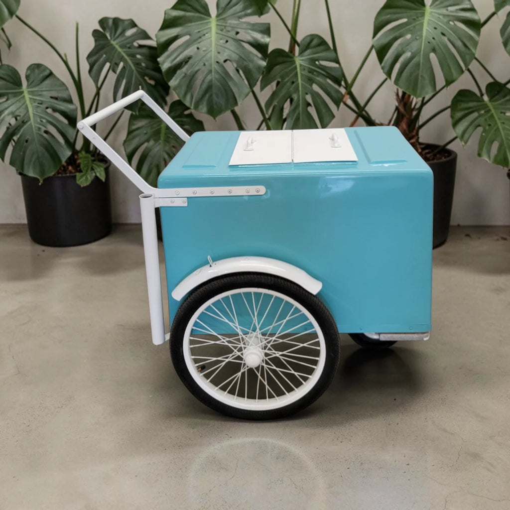 Mint with white trim  Popsicle Cart with Fenders Standard Size – Sleek &amp; Functional image 0