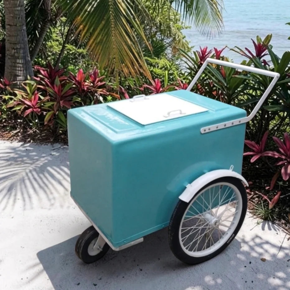 Mint with white trim  Popsicle Cart with Fenders Standard Size – Sleek &amp; Functional image 1