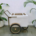 Tall Standard Size Popsicle Cart with Gold Trim and Bicycle Tires and 3 top openings image 0