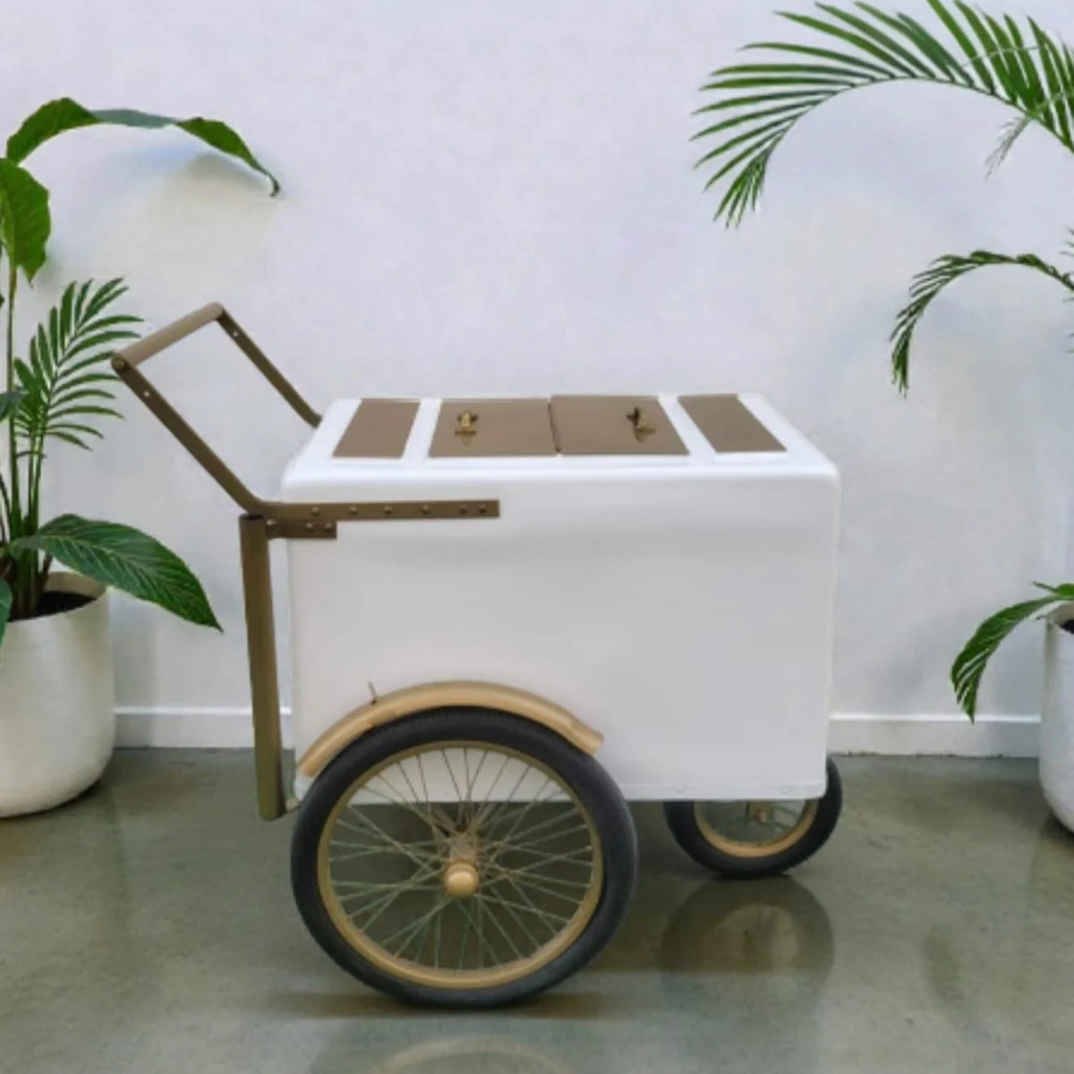 Tall Standard Size Popsicle Cart with Gold Trim and Bicycle Tires and 3 top openings image 0