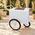 Tall All white Popsicle Cart with Bicycle Tires – Elegant &amp; Functional