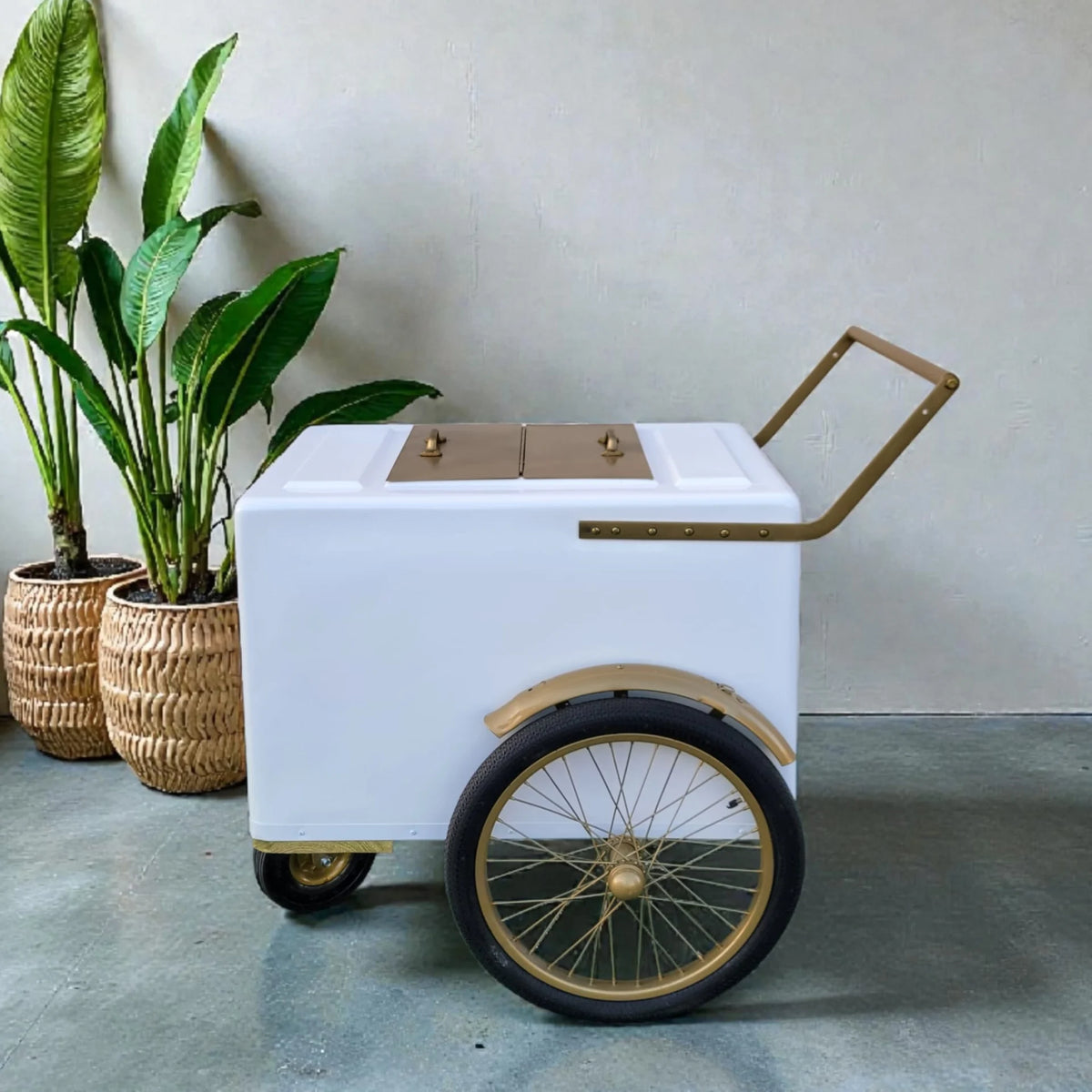 Elegant Standard Size Popsicle Cart – White with Gold Trim image 0
