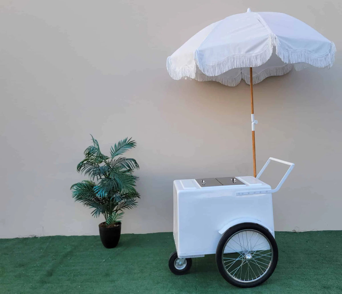 Popsicle Cart all white with Fenders Standard Size – Sleek & Functional image 2