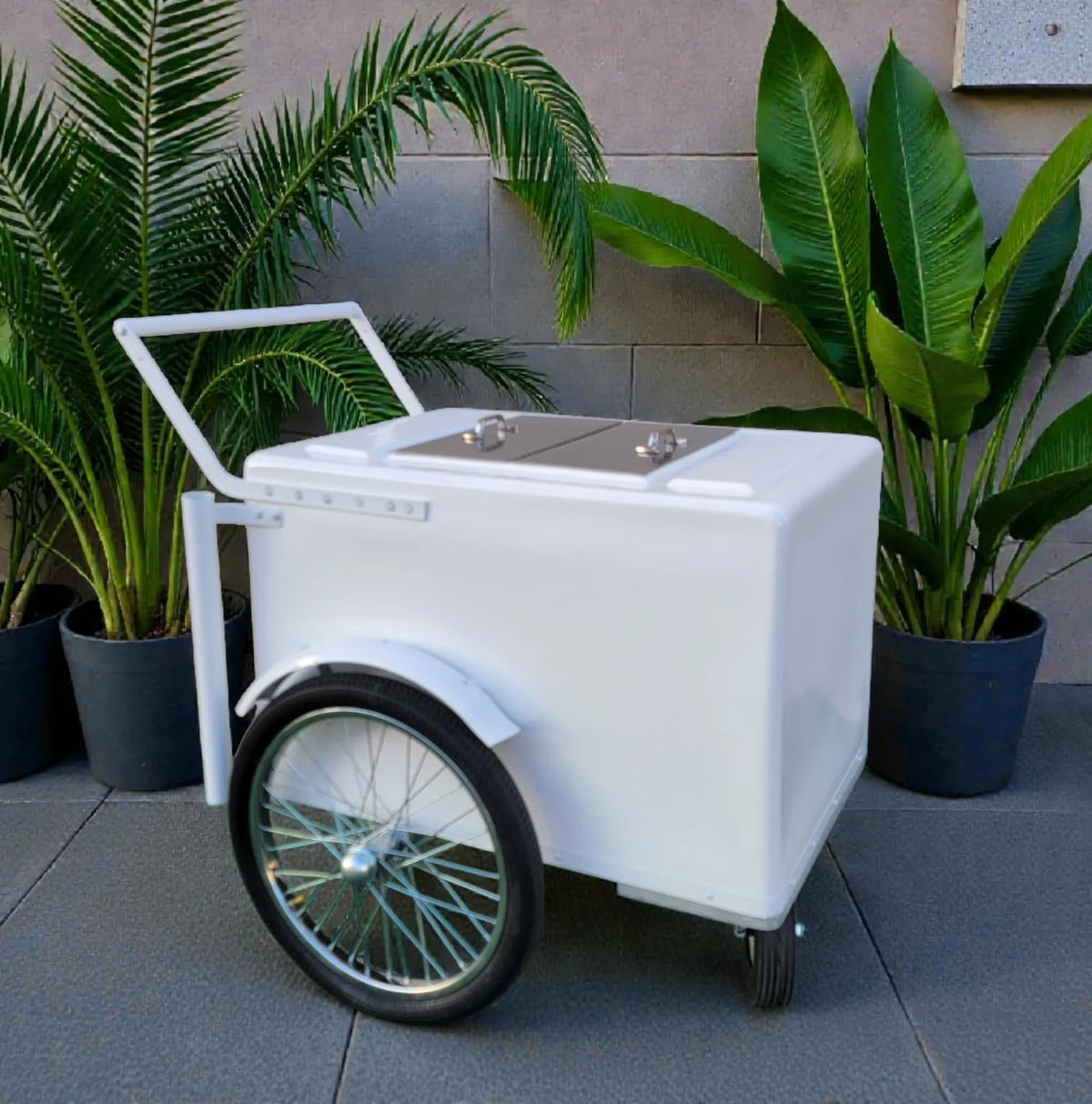Popsicle Cart all white with Fenders Standard Size – Sleek & Functional image 0