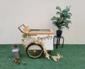 Standard Size Popsicle Cart with Sliding Glass Doors &amp; Bicycle Tires image 0