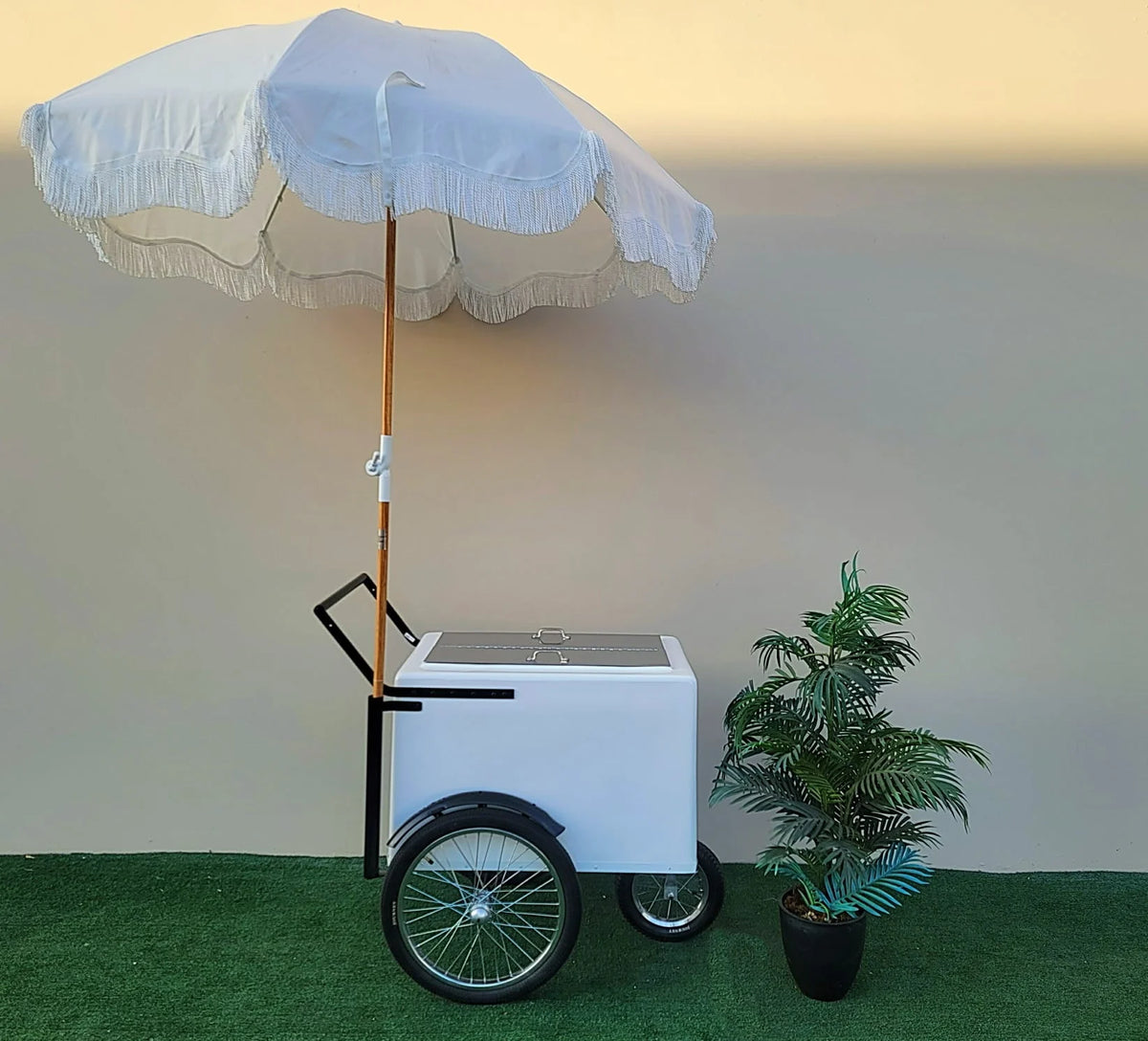 Popsicle Cart with XL Door Standard Size – Durable & Stylish image 1