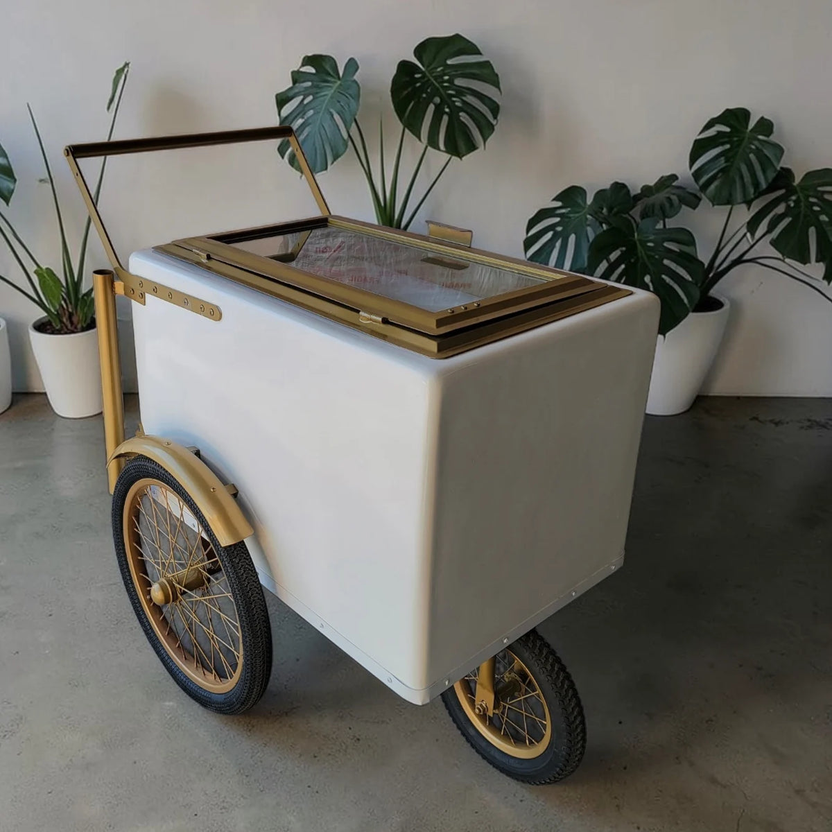 Tall Standard Size White with Gold trim Popsicle Cart with  Glass Door and  Bicycle Tires image 0