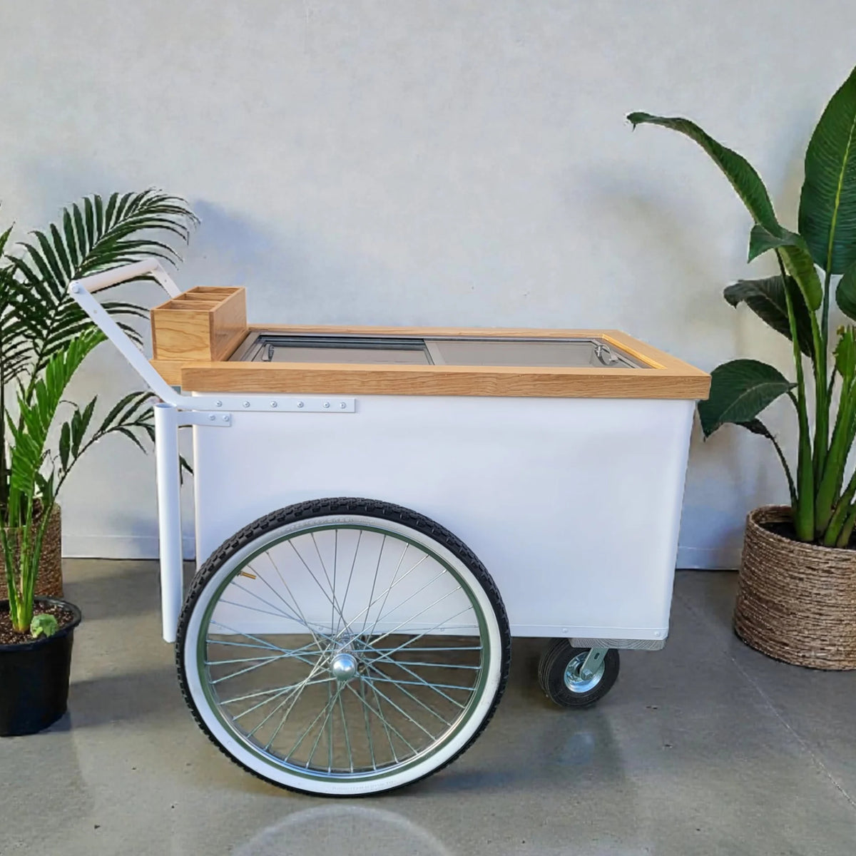 Elegant Large Popsicle Cart with Sliding Glass Doors – 3 Unique Looks image 0
