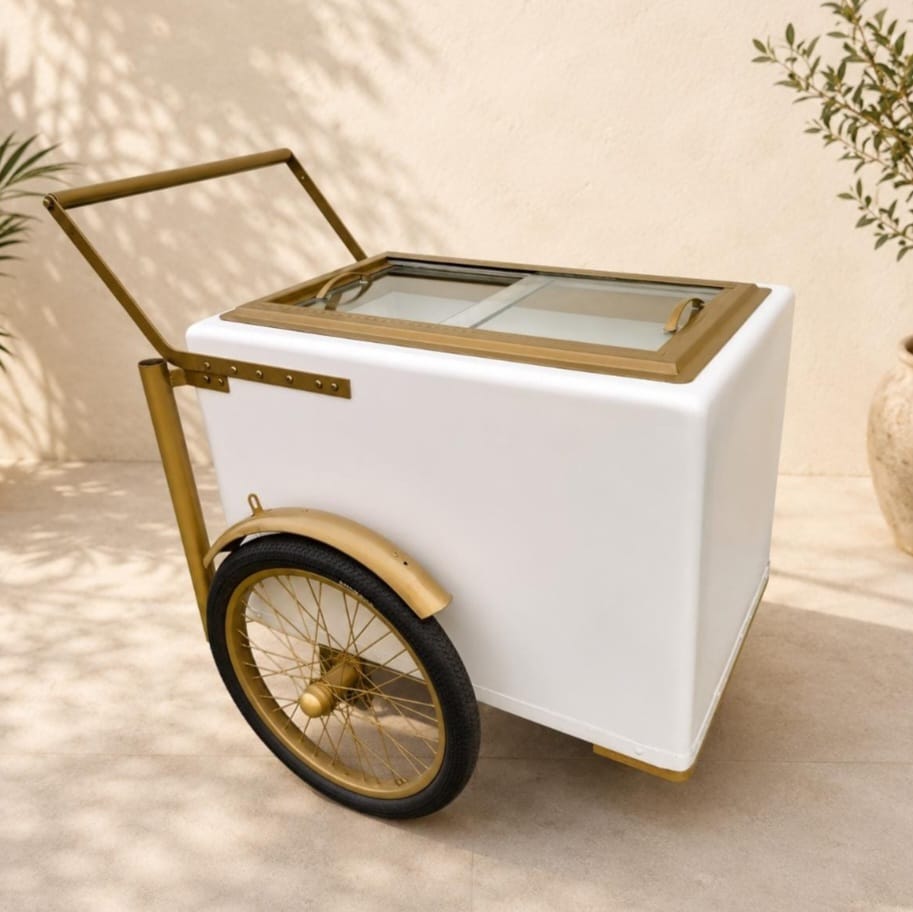 Standard Size Popsicle Cart with Sliding Glass Doors &amp; Bicycle Tires