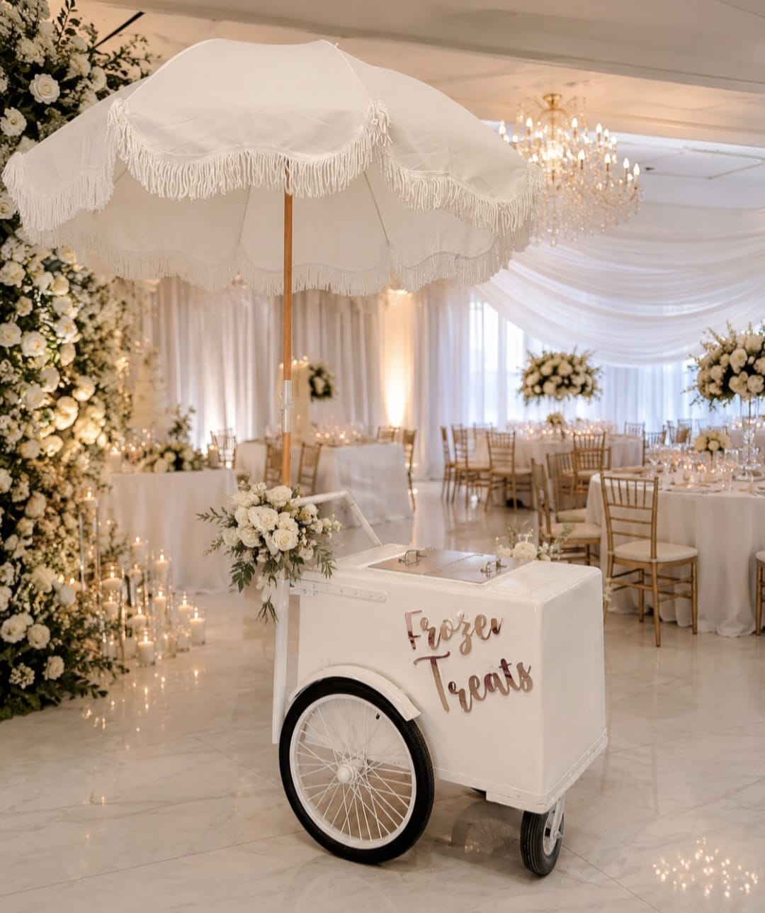 Popsicle Cart all white with Fenders Standard Size – Sleek & Functional All white
