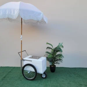 Small Size Popsicle Cart with Bicycle Tires