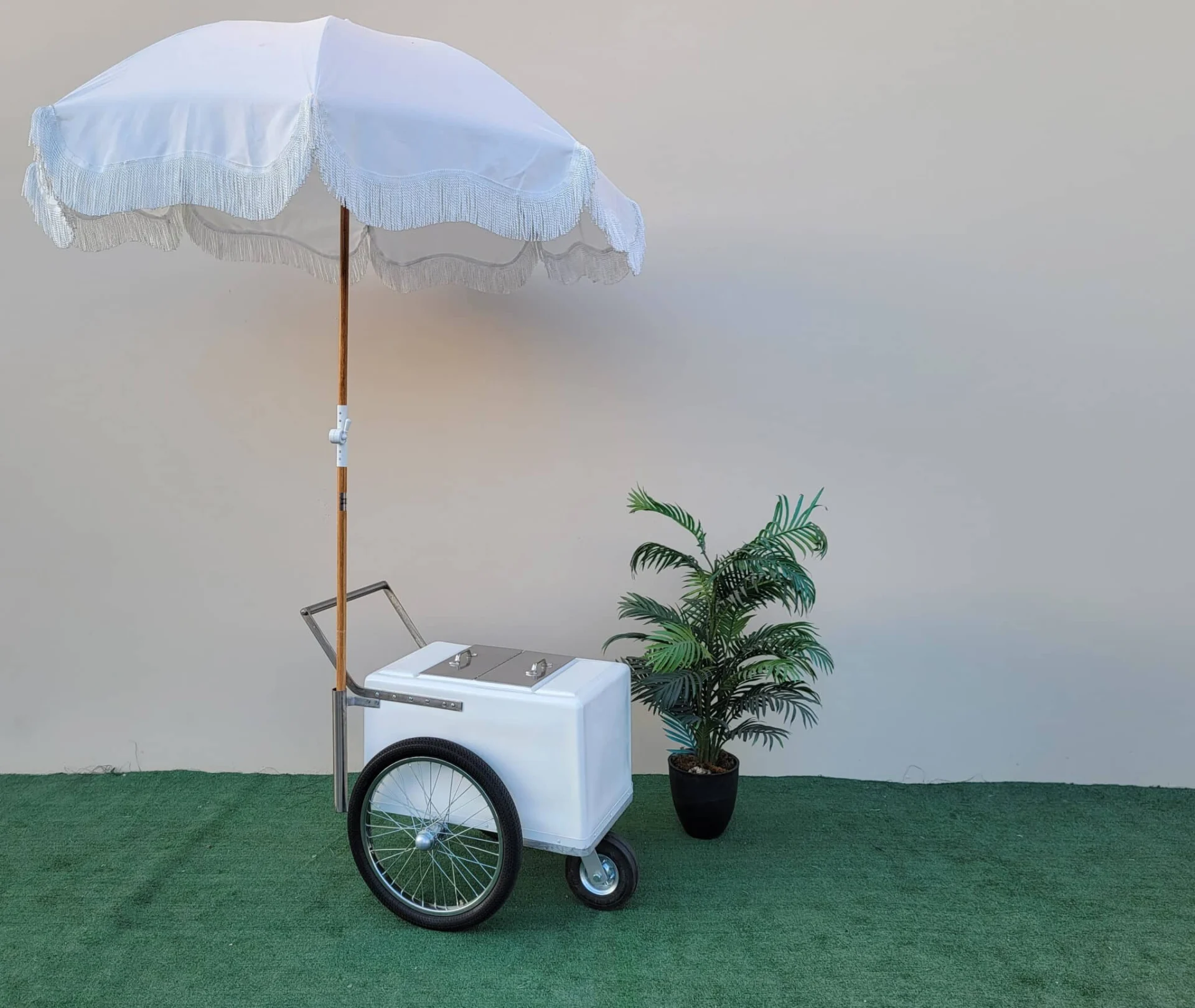 Small Size Popsicle Cart with Bicycle Tires