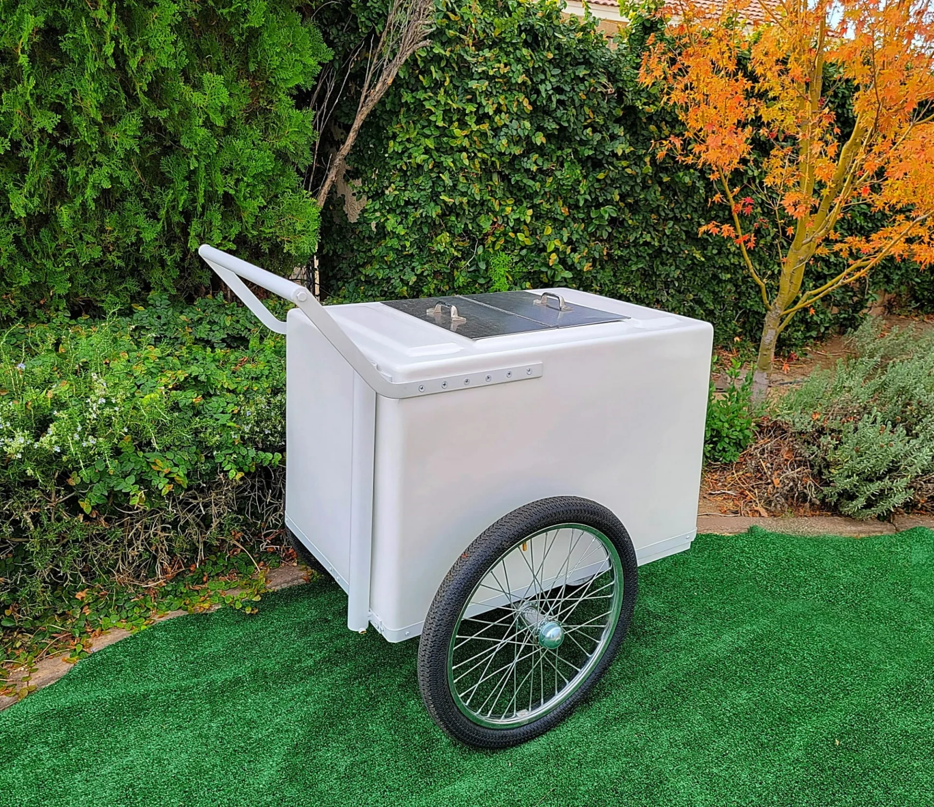 Standard Popsicle Cart with White Painted Trim – Compact & Versatile - Image 6