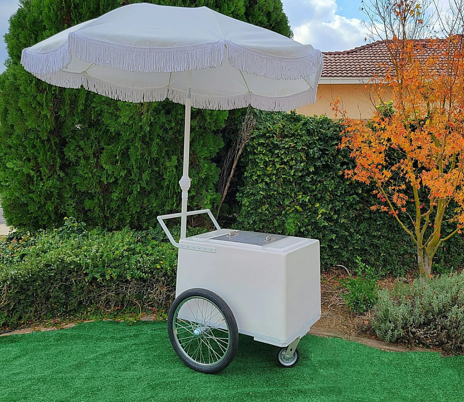 Standard Popsicle Cart with White Painted Trim – Compact & Versatile - Image 5
