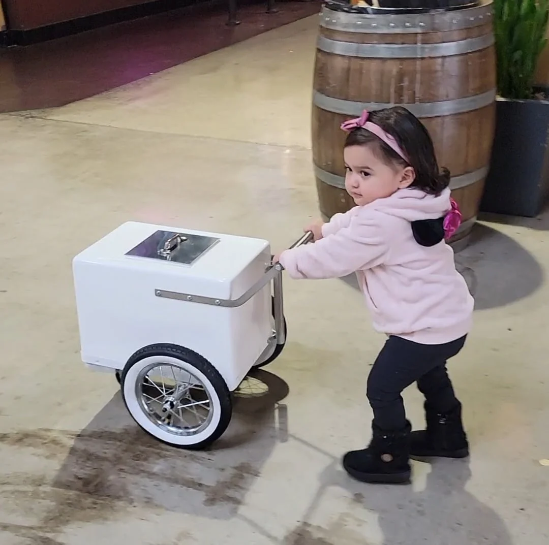 Baby Size Popsicle Cart with Bicycle Tires