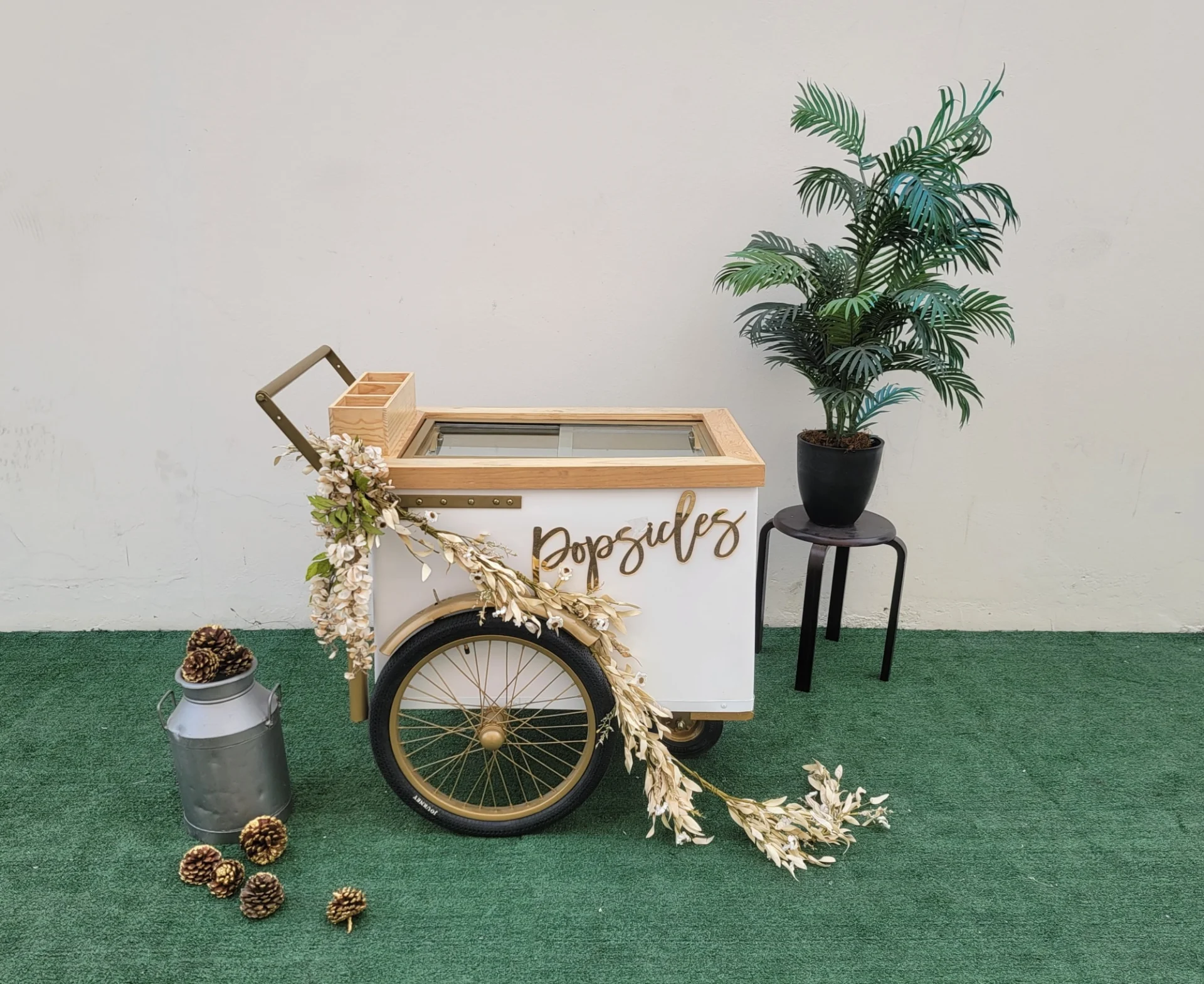 Standard Size Popsicle Cart with Sliding Glass Doors and Bicycle Tires
