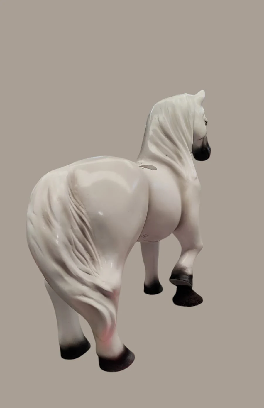 Wht horse back side
