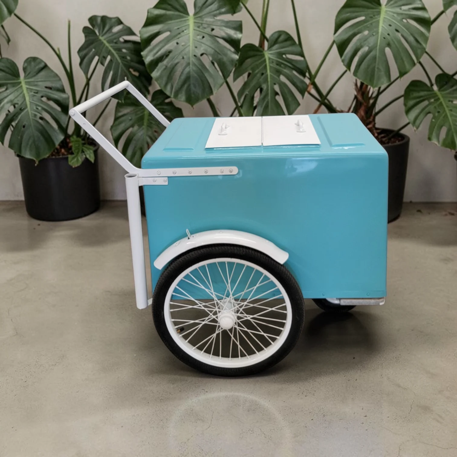 Mint with white trim Popsicle Cart with Fenders Standard Size – Sleek & Functional